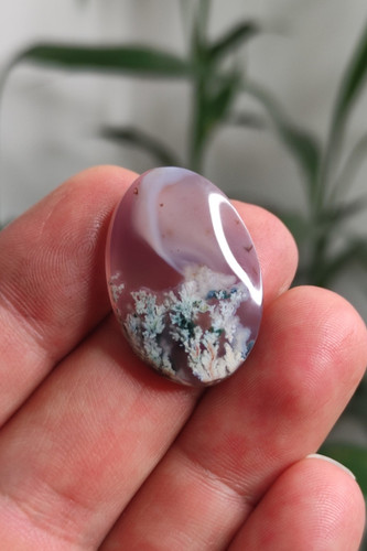 نگین عقیق شجر بهاری زمینه کبود شفاف